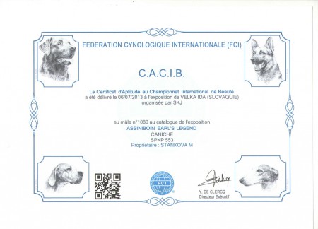 CACIB 6.7.2013 SK